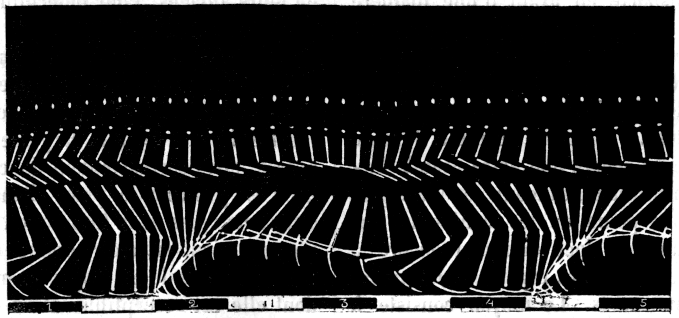 Marey:Linear Graph of Running Man in Black with White Stripes